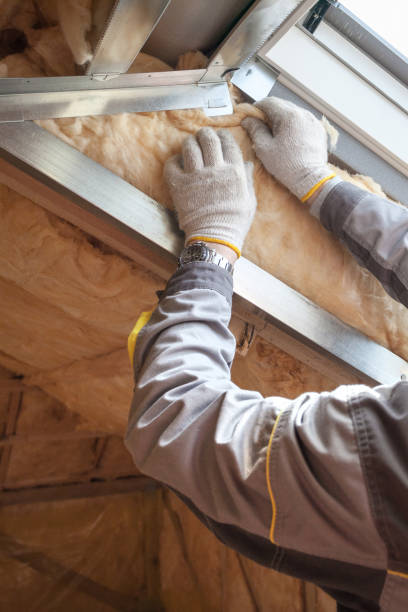 Professional Insulation Contractor in Spring Hill, TN